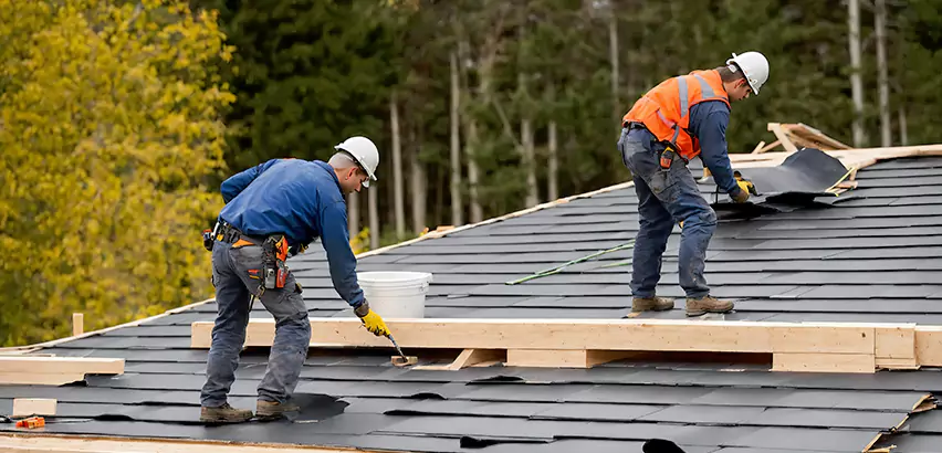 Professional Asphalt Shingles Installation Services in San Ysidro, CA