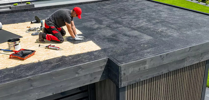 Professional TPO Roofing Services in San Ysidro, CA