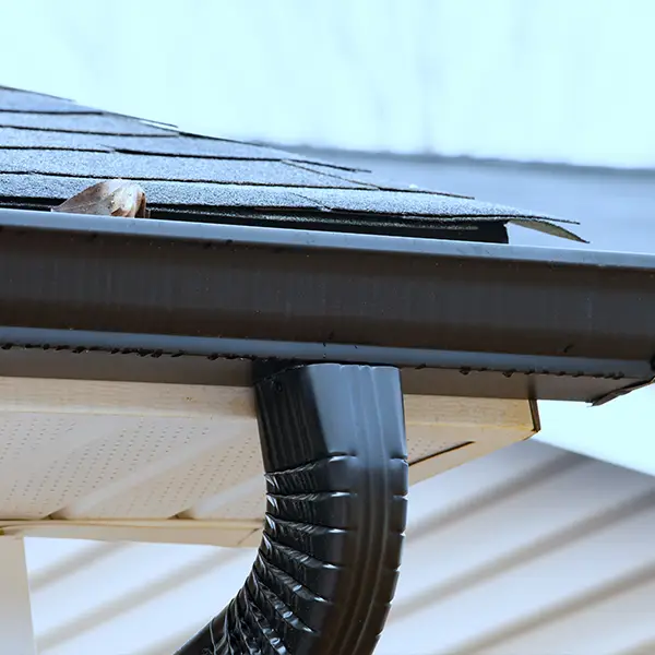 Why San Ysidro, CA Homeowners Choose San Ysidro Roofing?